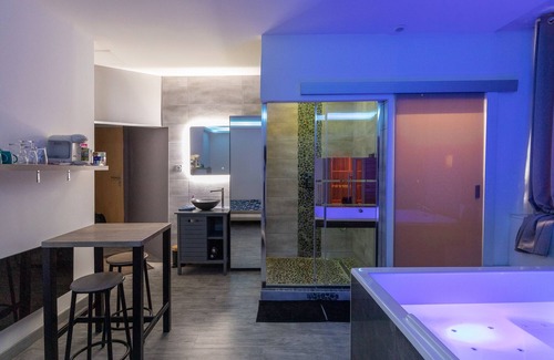 Dijon Centre Ville Apartment | Apartment-Deluxe-Whirlpool bath-Cocooning Spa