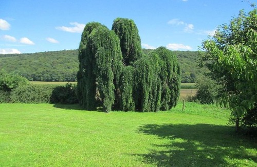 Gezier-et-Fontenelay Apartment | Apartment Domaine de Fontenelay