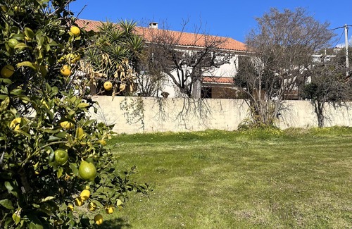 Tiuccia Apartment | Apartment F3 air-conditioned 3mn walk from the beach large garden property digicode