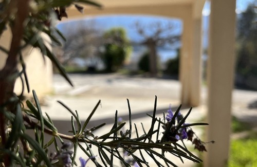 Tiuccia Apartment | Apartment F3 air-conditioned 3mn walk from the beach large garden property digicode