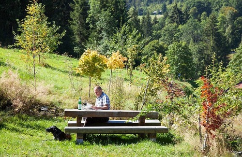 Hinterzarten Apartment | Apartment 'Ferienwohnung Sonne, 35qm' with Mountain View, Shared Terrace and Wi-Fi