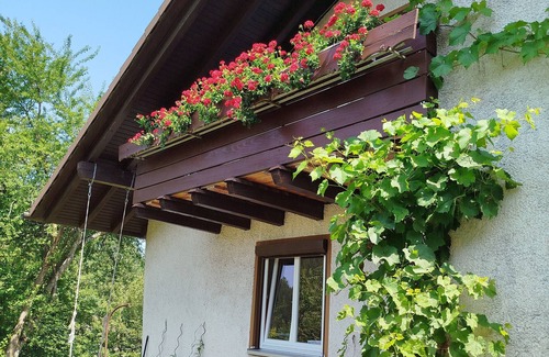 Ehlenbogen Apartment | Apartment 'Ferienwohnung Blaess' with Balcony and Wi-Fi