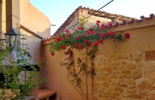 La Codonera Apartment | Apartment for 2 pers. next to the Spanish Tuscany, the Matarraña region.