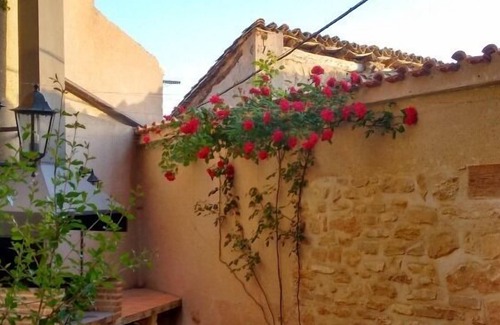 La Codonera Apartment | Apartment for 5 pers. next to the Spanish Tuscany, the Matarraña region.