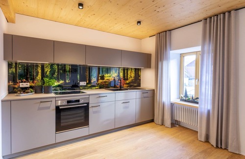 Elzach Apartment | Apartment 'Franz Xaver' with Shared Terrace, Balcony and Wi-Fi