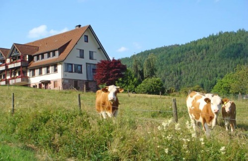 Tonbach Apartment | Apartment Freyenhöfe in Baiersbronn - 2 persons, 1 bedrooms