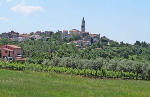 Kastelir Apartment | Apartment Gortan (KST102) in Porec/Kastelir - 4 persons, 2 bedrooms