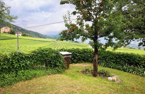 Berg/Monte Apartment | Apartment 'Harmony Apt 2' with Mountain View, Shared Garden and Wi-Fi