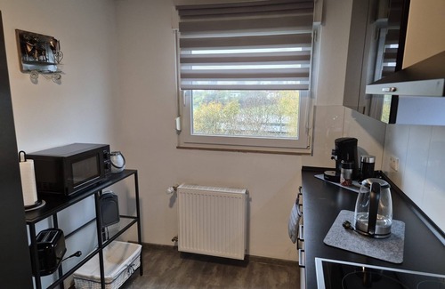 Neunkirchen Apartment | Apartment 'Haus Schmidt 4Zi Parknähe' with Balcony and Wi-Fi