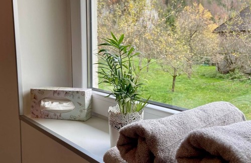 Sankt Pankraz Apartment | Apartment I Monika - Apartment Mona's Home