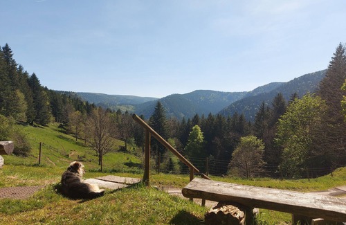 Plainfaing Apartment | Apartment in a secluded farm in the High Vosges