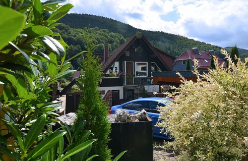 Sieber Apartment | Apartment in Herzberg ot Sieber near Forest with Parking