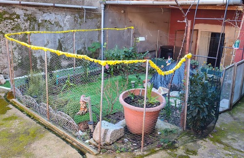 Arbus House | Apartment in house with vegetable garden in Arbus Sardinia