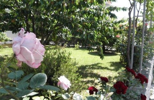 Lopar Apartment | Apartment in Lopar with Terrace, Air condition, WIFI, Washing machine (893-4)