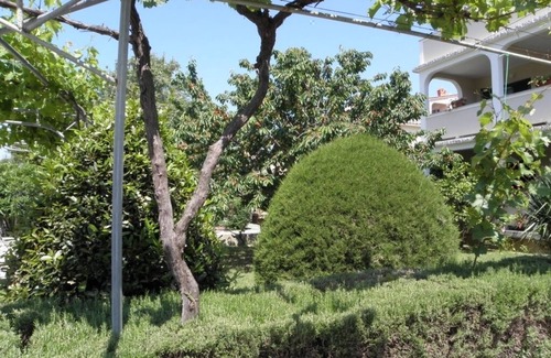 Lopar Apartment | Apartment in Lopar with Terrace, Air condition, WIFI, Washing machine (893-4)