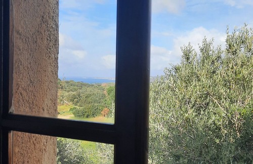 Calvi Apartment | apartment in the 2nd in a house of character, quiet pool nature, 5min from Calvi