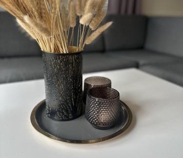Alta Apartment | Apartment in the center of Alta