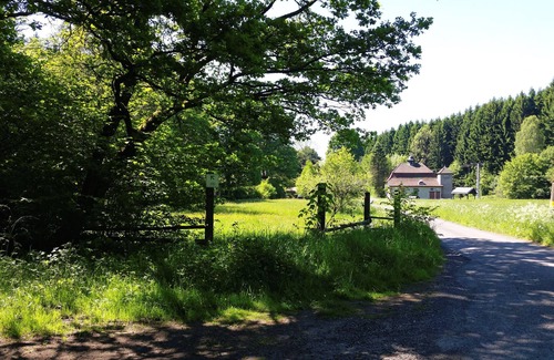Nauroth Apartment | Apartment in the forest - Nauroth in the Westerwald - enjoy your holiday in an absolutely natural location