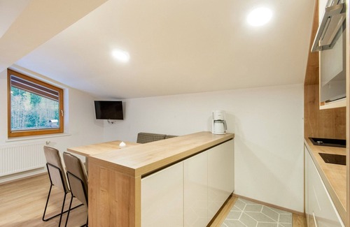 Wald im Pinzgau Apartment | Apartment in Wald near Zillertal Ski Area