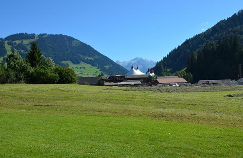 Zweisimmen Nr Gstaad Apartment | Apartment Jacqueline 11 by Interhome