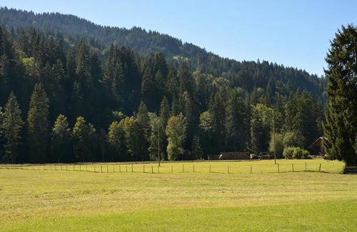 Zweisimmen Nr Gstaad Apartment | Apartment Jacqueline 11 by Interhome
