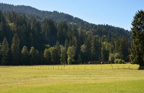 Zweisimmen Nr Gstaad Apartment | Apartment Jacqueline 2 by Interhome