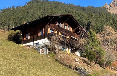 Wengen Apartment | Apartment Jungfrau a d Ledi-1 by Interhome