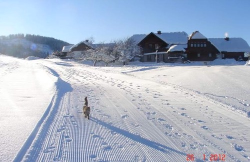 Gossenberg Apartment | Apartment Kammspitze - 3 bedrooms, 2 bathrooms m. WC - Hirzhof