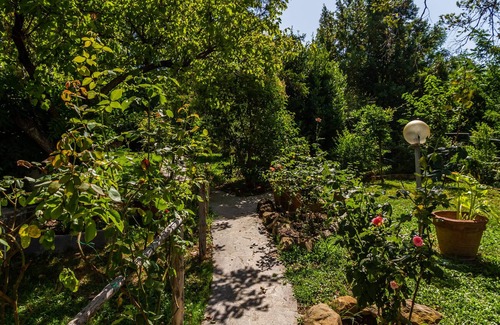 Scansano Apartment | Apartment "La Casa nel Crocino" with Private Garden