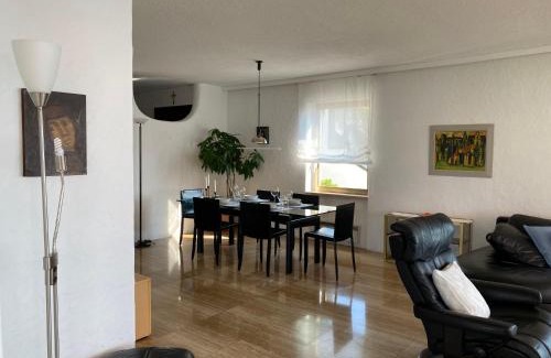 Brissago Apartment | Apartment Lakeview by Interhome