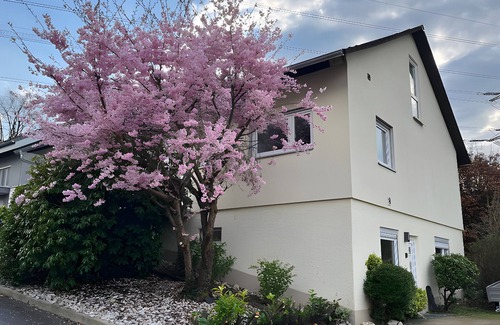 Ruemmingen Apartment | Apartment 'Lamm' with Private Terrace, Private Garden and Wi-Fi