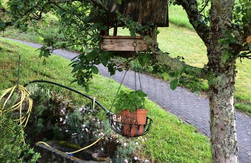 Hornberg Apartment | Apartment 'Living in the Green' with Mountain View, Balcony and Wi-Fi