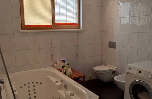 Lustenau Apartment | Apartment 'Loft Mit Kamin Und Whirlpool' with Private Terrace, Private Garden and Wi-Fi