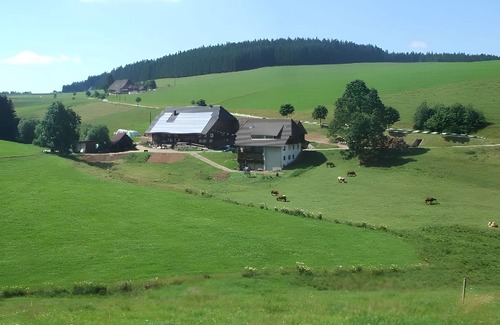 Furtwangen Apartment | Apartment 'Lothar, 80qm' with Shared Garden, Balcony and Wi-Fi