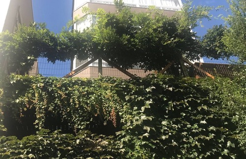 Juventude da Enologia Apartment | Apartment Manfroi/In the capital of Wine
