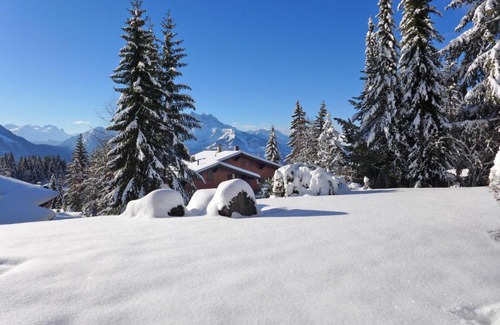 Villars-sur-Ollon Apartment | Apartment Meribel 1 by Interhome