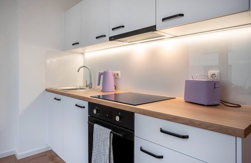 Greifswald Apartment | Apartment 'Modernes Loft Mit Terrasse' with Private Garden and Wi-Fi