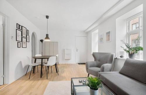 Aalborg Apartment | Apartment Near Pedestrian Street In Aalborg