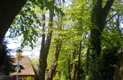 Emden Apartment | Apartment neu Renoviert im Zentrum Emdens
