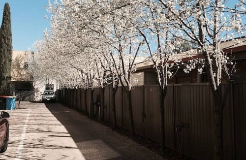 Shepparton South Apartment | Apartment No 9 · Central Shepparton Apartment long stays