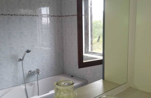 Stobrec Apartment | Apartment Olive tree
