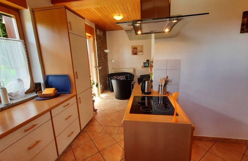 Zgornje Gorje Apartment | Apartment on the ground floor with patio