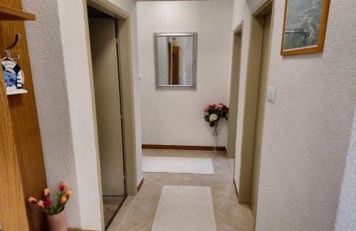 Lokvicici Apartment | Apartment Osama