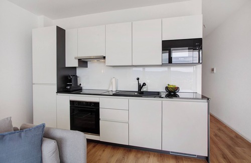 Loerrach Apartment | Apartment 'Panoramablick' with Mountain View, Private Terrace and Wi-Fi