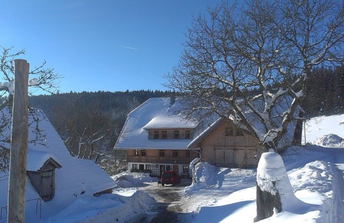 Schonach im Schwarzwald Apartment | Apartment 'Pfiffikus' with Mountain View, Shared Terrace and Wi-Fi