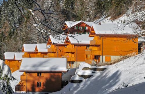 Wengen Apartment | Apartment Racer's Retreat Apt-12 by Interhome
