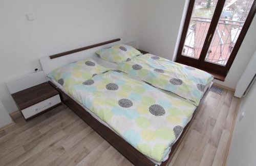 Cerny Dul Apartment | Apartment Residence Čistá by Interhome