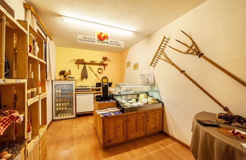 Curon Venosta Apartment | Apartment 'Rieglhof Geiernest' with Mountain View, Garden & Wi-Fi