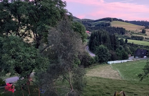 Zell am Harmersbach Apartment | Apartment 'Schwalbennest' with Shared Garden and Wi-Fi