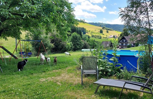 Zell am Harmersbach Apartment | Apartment 'Schwalbennest' with Shared Garden and Wi-Fi